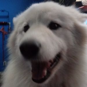 Meet your Posher, Tammy